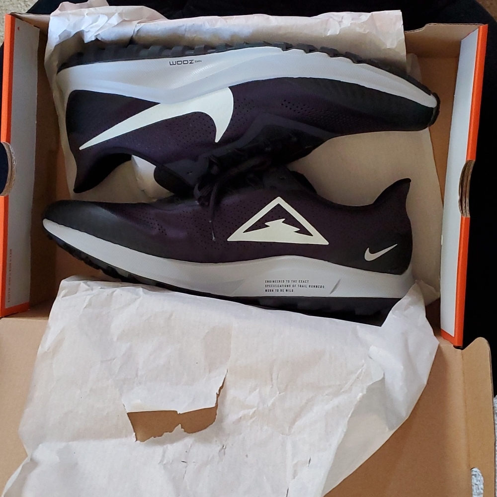 Nike Air zoom pegasus